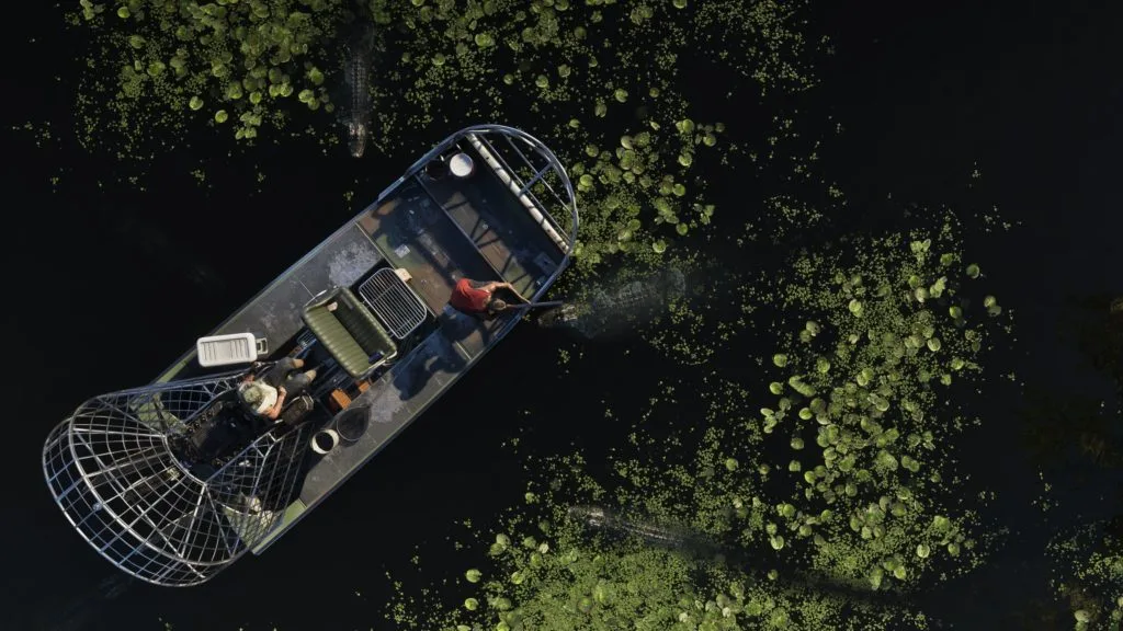 Airboat and American alligators in the Grassrivers wetlands, seen from above — official GTA VI screenshot